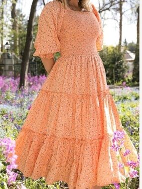 Ivy City Co Madeline Dress